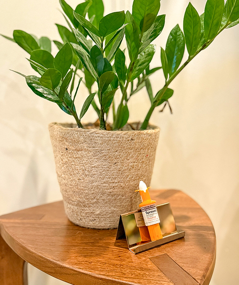 Plant
